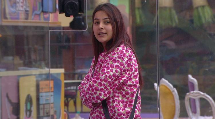 Bigg Boss 13 Day 82 written updates: Captain Shehnaz gets troubled by the housemates
