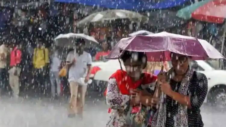 Rainfall, dense fog in these states ahead of Republic Day - check IMD's weather forecast